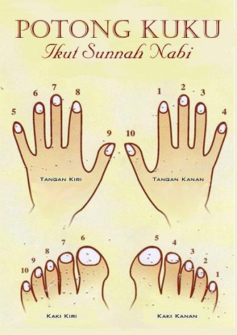 Sunnah Rasul adab memotong kuku,