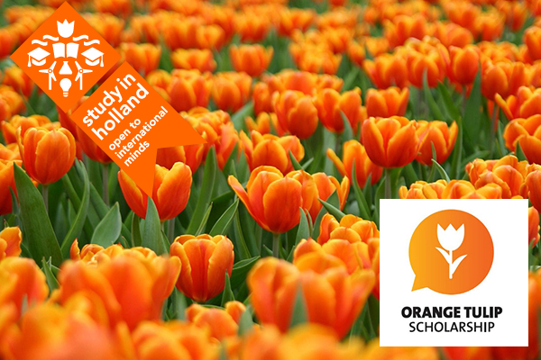 Beasiswa ke Belanda ( Orange Tulip Scholarship )