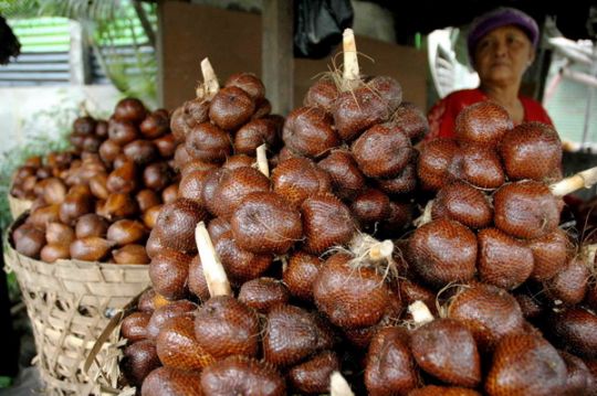 Mahasiswa UAD Yogyakarta Ciptakan Teh Kulit Salak untuk Penderita Diabetes