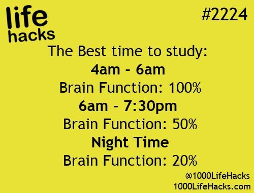 Best Time to study