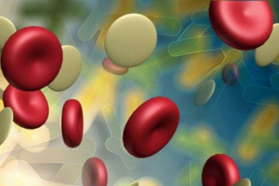 Albumin & Manfaatnya Bagi Kesehatan Tubuh