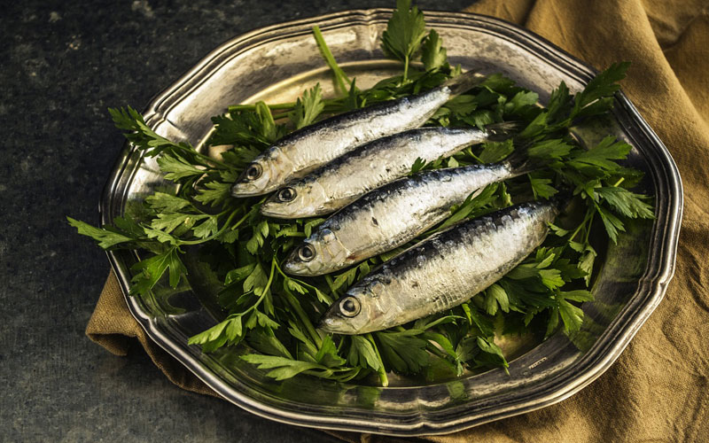 Rahasia Kandungan Nutrisi Tinggi yang Dimiliki Ikan