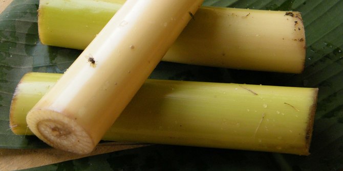 Batang pohon pisang, solusi alami untuk sembuhkan perut yang galau