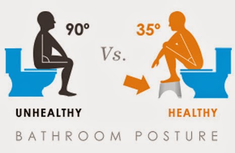 Mana yang Lebih Sehat, Toilet Jongkok atau Toilet Duduk