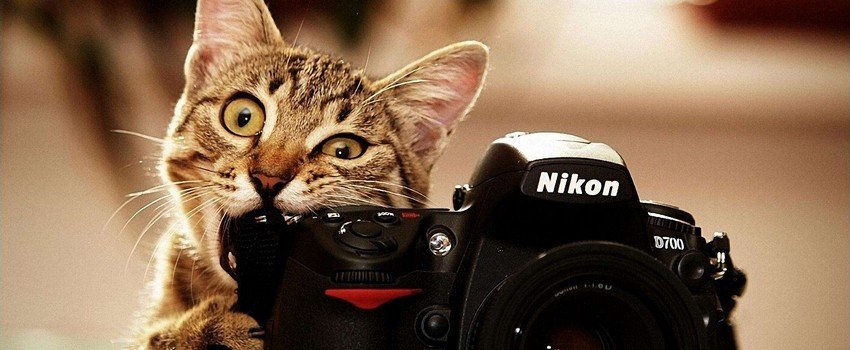 Mengenal 13 Setting-an Dasar Kamera Nikon