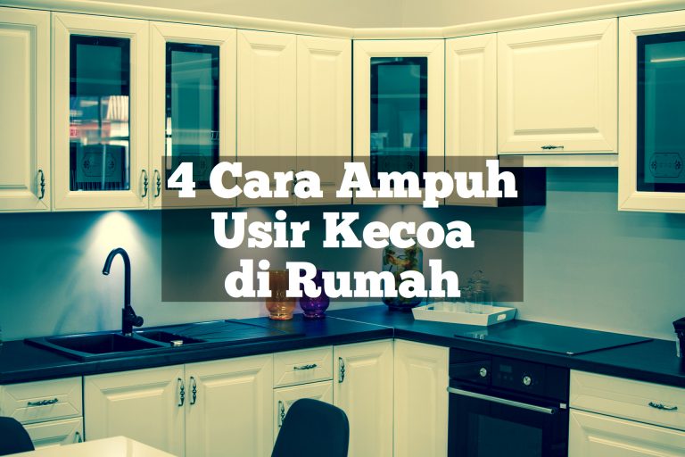 4 Cara Ampuh Usir Kecoa Di Rumah