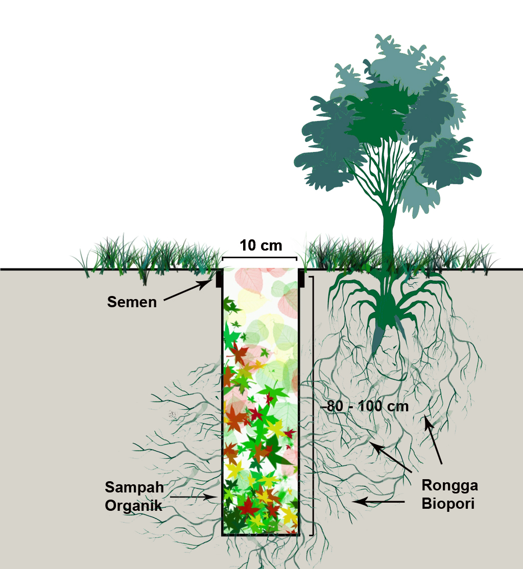 Cegah Banjir dan Kekeringan dengan Biopori