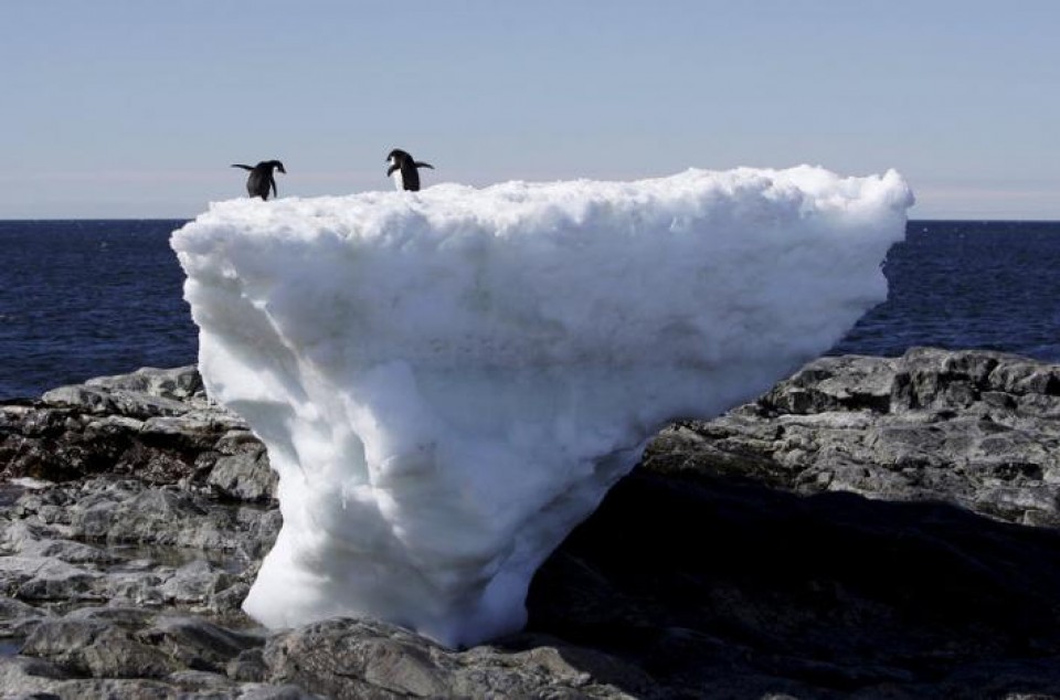 Antartika Capai Rekor Suhu Tertinggi pada 17,5 Derajat Celsius, Banyak Pesisir Pantai akan Hilang?
