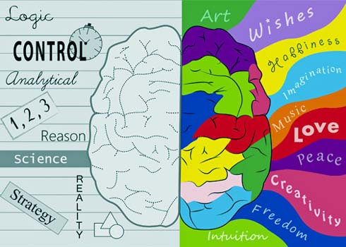 Otak Kiri vs Otak Kanan, Mitos atau Fakta?