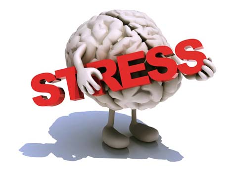 5 Dampak Buruk Akibat Stress Bagi Otak