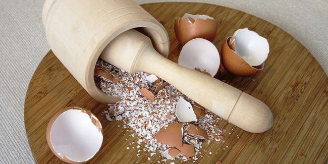 Ajaib, Ini Manfaat Kulit Telur yang Harus Kamu Ketahui
