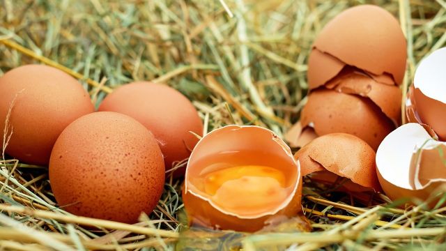 Benarkah Mata Bisa Buta Akibat Terkena Telur Busuk?