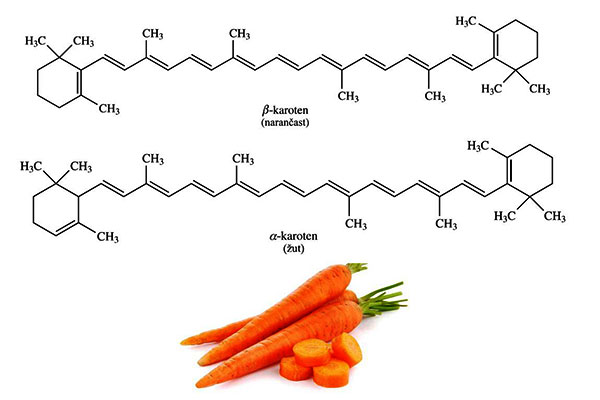 Manfaat Alpha Karoten untuk Tubuh