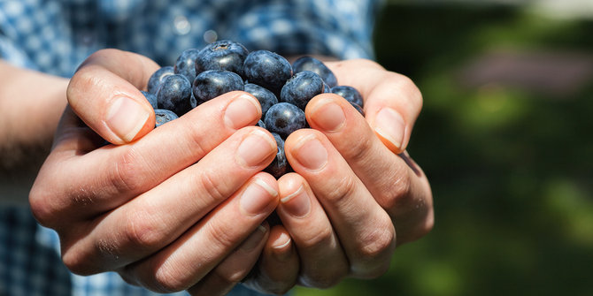 Blueberries, buah kaya zat antioksidan untuk turunkan hipertensi