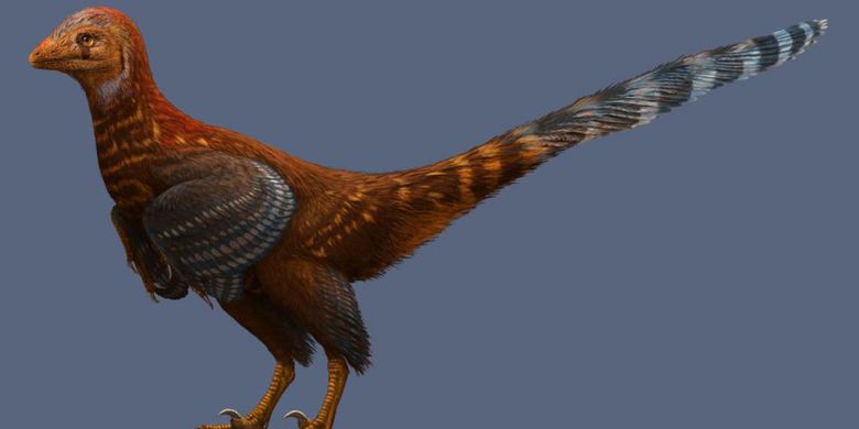 Spesies Baru Dinosaurus Mirip Burung Ditemukan, Bisakah Terbang?