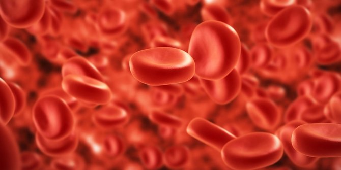 8 Rahasia tentang darah manusia yang wajib disimak
