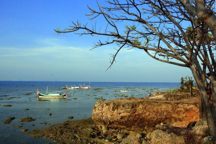 Pulau di Madura ini punya udara terbaik dunia, destinasi wisata sehat