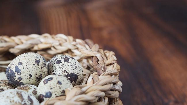 Memecahkan Misteri Mengapa Telur Bentuknya Tak Sama