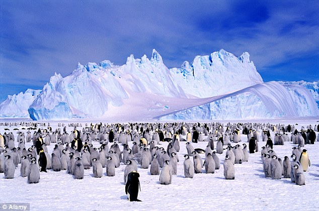 10 Fakta Unik Seputar Benua Antartika