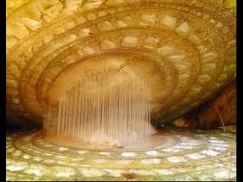 12 Manfaat Getah Pisang Untuk Kehidupan Manusia