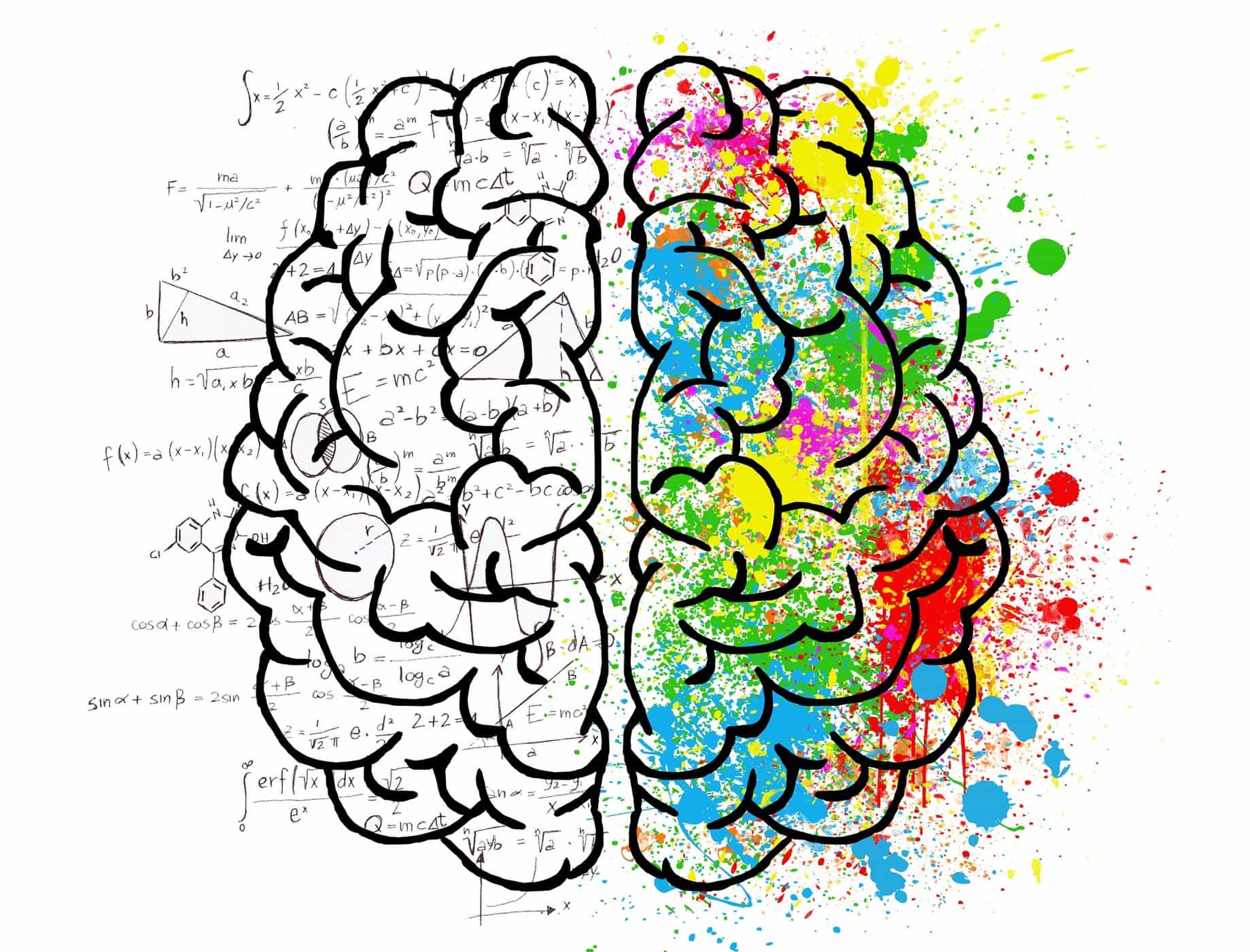 Ada Otak Kiri dan Kanan, Mengapa Otak Manusia Terbagi Jadi Dua Bagian?