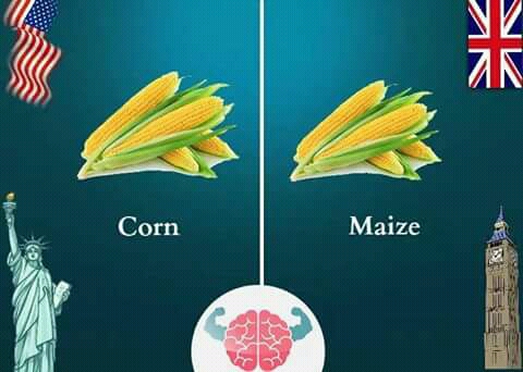 Apa Sih Perbedaan Inggris Uk Dan Us Begini 10 Gambar Ilustrasinya Apa Sih Perbedaan Inggris Uk Dan Us Begini 10 Gambar Ilustrasinya