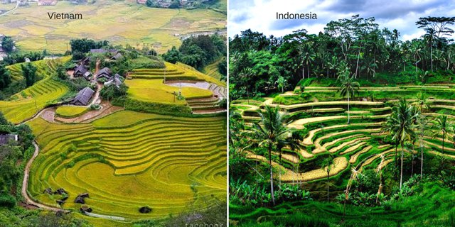 10 Bukti Bahwa Tempat Wisata dan Kebiasaan Orang di Vietnam Mirip Indonesia