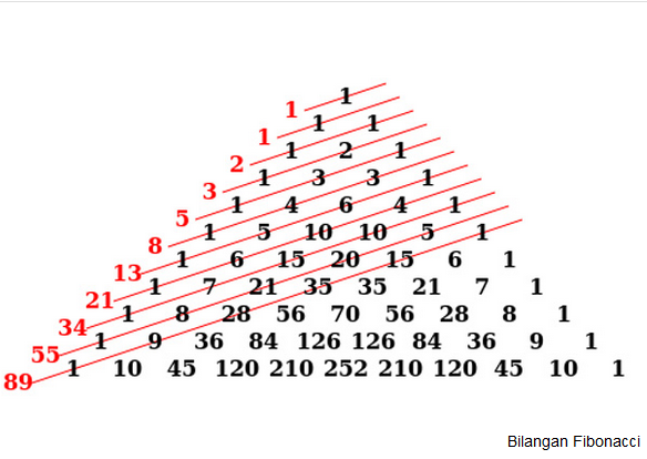 Apa sih angka atau bilangan Fibonacci? 