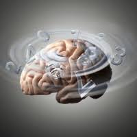  Aktivitas Belajar dan Sel Otak yang Mati