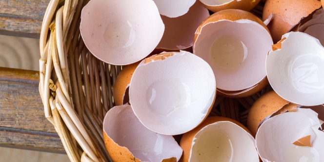 Dibuang Sayang, Ini 3 Manfaat Kulit Telur Bagi Tubuh Manusia