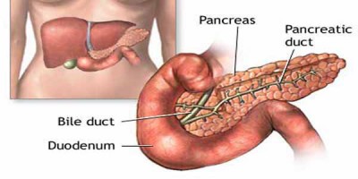Anatomi, Letak dan Penyakit Pankreas