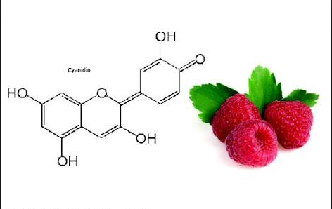 Manfaat Cyanidin Pada Tumbuhan dan Buah - Buahan