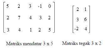 Determinan Matriks Lengkap Dan Contohnya