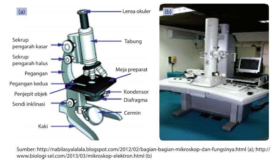 Fungsi masing-masing bagian mikroskop dan Cara Menggunakannya: 