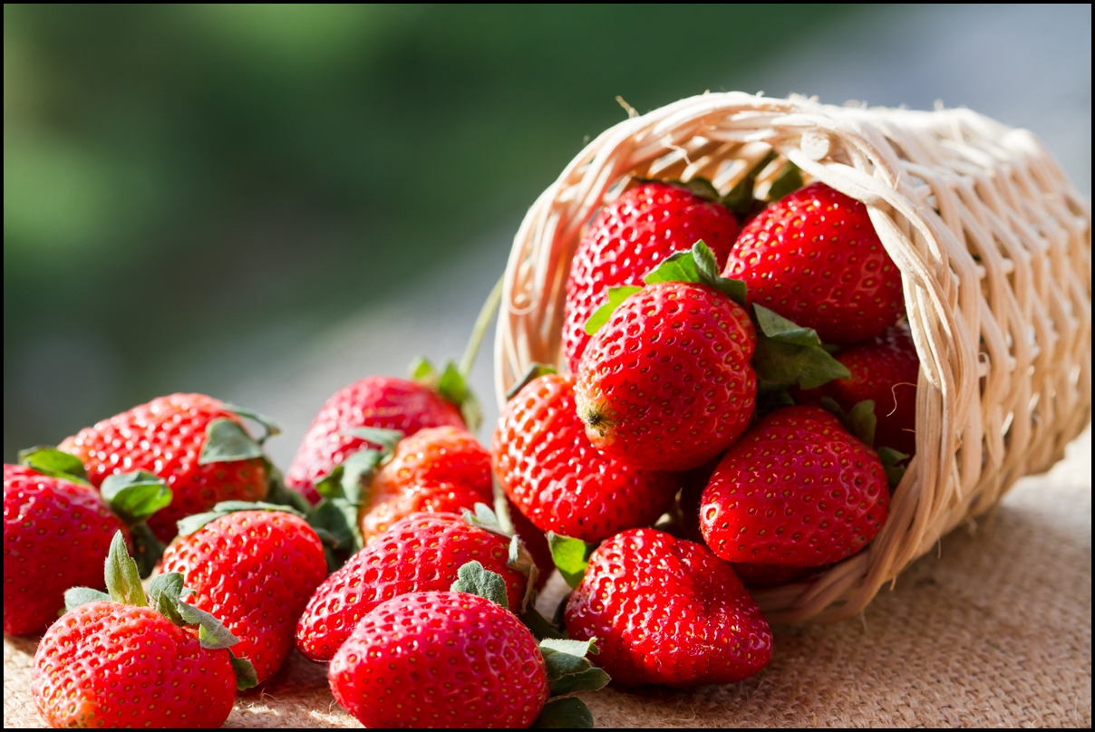 Khasiat Alami Buah Strawberry, yang Kaya Akan Mineral dan Vitamin.