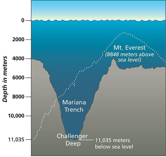 Palung Laut : Pengertian, Ciri-ciri dan Jenisnya