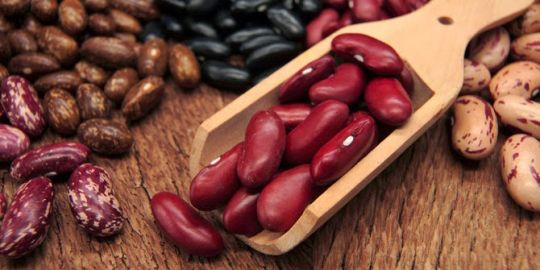 Manfaat Dibalik Mengkonsumsi Kacang-Kacangan