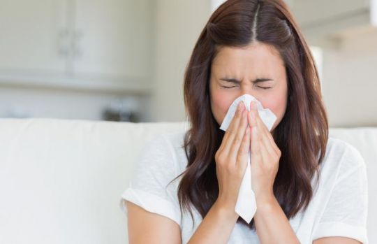Cara Sederhana Atasi Hidung Tersumbat Karena Flu