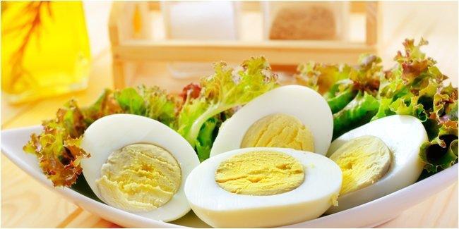 Tahukah Kamu Makan Dua Telur Dalam Sehari Baik Untuk Kesehatan Tubuh