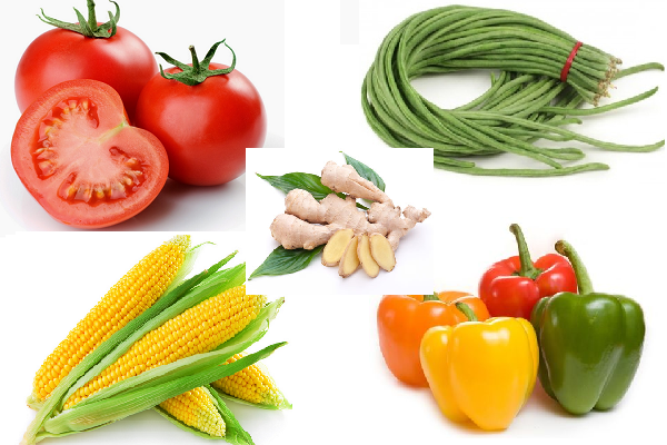 5 Jenis Tanaman Pertanian Yang Paling Menguntungkan