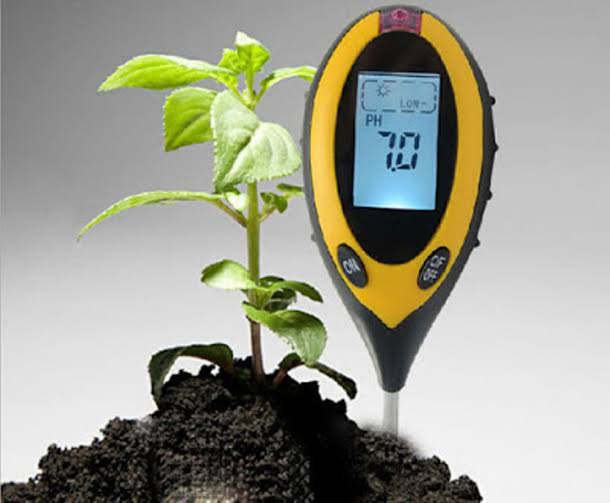 4 Cara Mengukur Tingkat Keasaman Tanah, Tanpa pH Meter