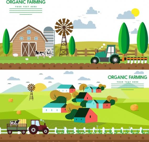 Pertanian organik di indonesia kemajuan dan perbedaan nya dengan sintesis
