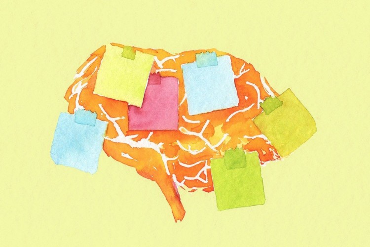 Agar Nggak Mudah Lupa, Ini 6 Cara Mudah untuk Meningkatkan Memori