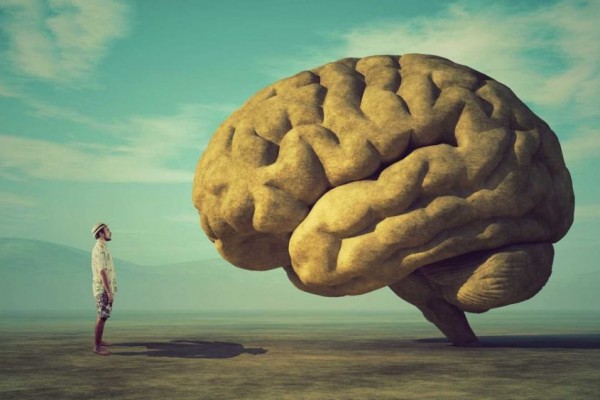 Mengenal Sistem Limbik, Bagian Otak yang Mengontrol Emosi & Perilaku