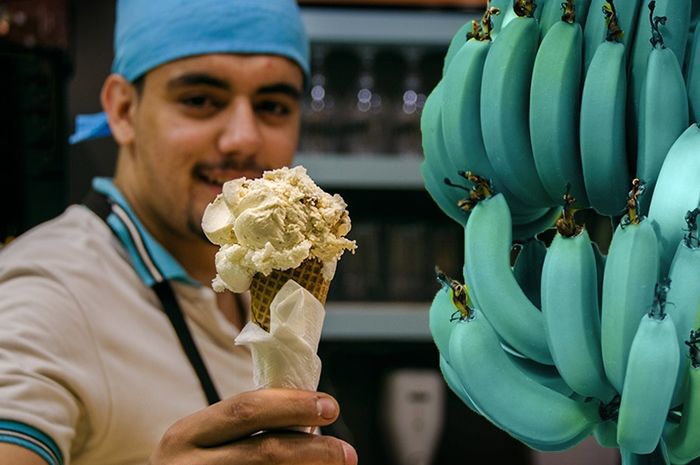 5 Fakta Blue Java Banana, Pisang Biru dengan Rasa Seperti Es Krim