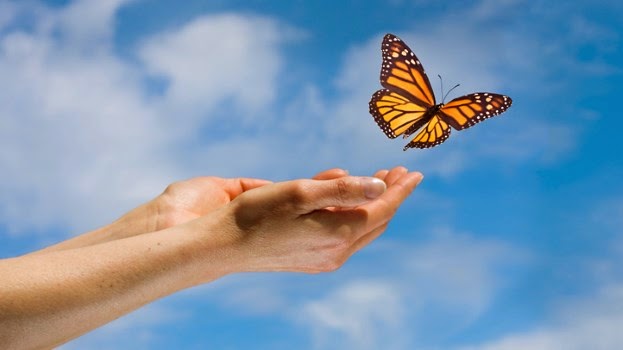 7 Cara Terapi Butterfly Untuk Mengurangi Stress Yang Efektif