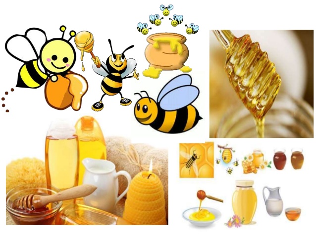Mengenal jenis-jenis lebah madu