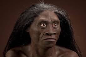 Dijuluki 'Hobbit', 7 Fakta Menarik Spesies Homo floresiensis