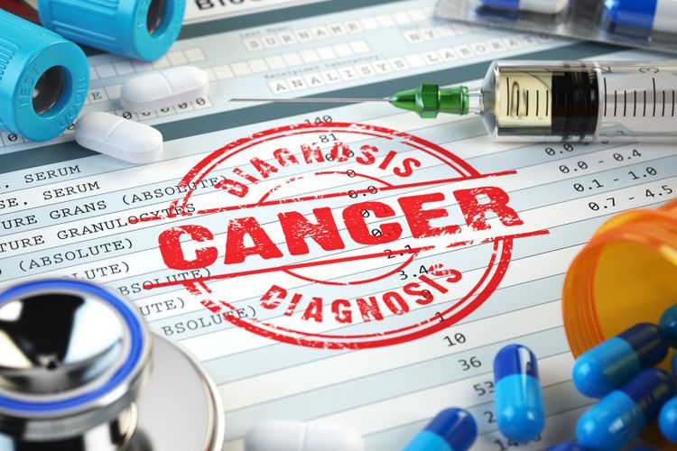 Untuk Jadi Obat Kanker, Akar Bajakah Harus Melewati Fase-fase Ini 
