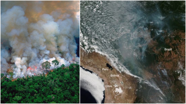 13 ‘Penampakan’ Mengerikan Kebakaran Hutan Amazon. Asapnya Sampai Kelihatan dari Luar Angkasa!